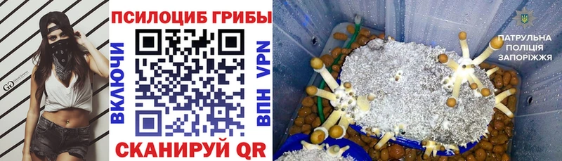 мориарти наркотические препараты  hydra ссылка  Ялта  Галлюциногенные грибы GOLDEN TEACHER 